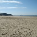 백사장항(대하) 이미지