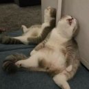 2019-주120 | [신용분석사] 직장인 한달 반 독학 합격 후기(노베,1트)