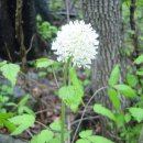 경주목장 이미지