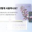 포인사이트 이미지