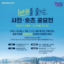 해비