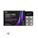 에버그린 이미지