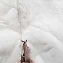 윤수선 이미지