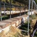 겨울맞이..ing 이미지