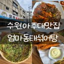 인창해물섞어탕찜 | 입맛 없을 땐 매콤시래기코다리찜 수원아주대맛집 엄마동태섞어탕 리뷰