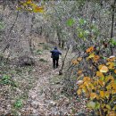 지동초등학교 이미지