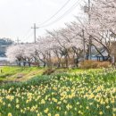 거북이마을 이미지