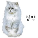 코다리감동이되다 네이버블로그