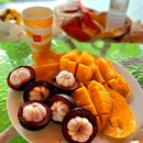 HOTEL CASA | 세부 가성비 호텔 : 막탄 카사블루 호텔 리조트 Casa Blu Hotel Resort 솔직 후기