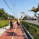 서영주정(주) 이미지