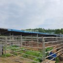 유일사슴목장 이미지