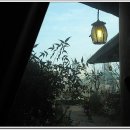 예나지나 이미지