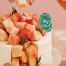 강남-253 이미지