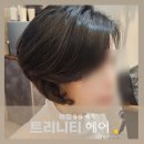 더벤티 옥정신도시점 | 옥정 미용실 추천 중년 볼륨 트리니티헤어 옥정신도시점 볼륨매직 후기