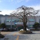 함양남서로 이미지