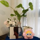 나의첫번째 피아노음악교습소 | 광교초♡ 아이나피아노바이올린 (바이올린Class 두번째 콩쿠르 도전기)