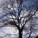 팔미3리 마을회관 이미지