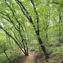 [제70차]9월14일(월) 원적산 둘레길(인천서해구) 이미지