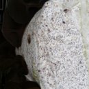 청봉농장 이미지