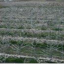 대남농장 이미지