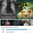 새라돈가스 이미지