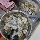 법수치통나무산장 | 강원도 양양 애견동반 펜션 / 법수치계곡 추천