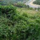 합성동102 이미지