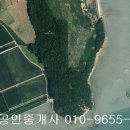 김대중대교(무안) 이미지