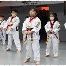 브레인태권도장 이미지