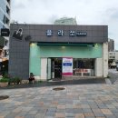 플라쏘 네이버블로그