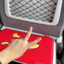 용산-서빙-1766 | 휴학 6주차 (1)/ 2박3일 남도 여행(신안,목포,진도,남해,하동,구례)