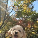 씨앤비어 이미지