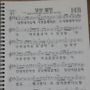 당신없인 (현철) , 달래강 (김국환) .반 (신유) , 나이야가라 (김용임) , 나그네 (조승구) ,악보 이미지