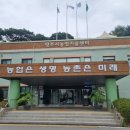 챗GPT기초 및 활용 이미지