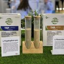 씨제이글로벌축산