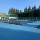 신트리공원(테니스장) 이미지