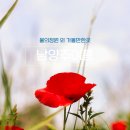 남양주 여름 가볼만한곳 물의정원 피아노폭포 아쿠아조이 한강공원