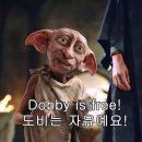 소냐도르