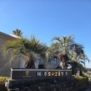 서귀포축구공원 2 | 제주도 서귀포 숙소 끝판왕! 감성 온수풀펜션 '모나코'에서 커플여행 성공