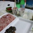 팜비치 리조텔 이미지