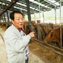 개량농장 이미지