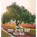 고석정꽃밭카페 | 철원 고석정 꽃밭 축제 후기 – 가을을 걷다, 고석정에서