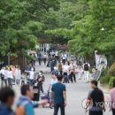 어린이대공원 제10호 이미지