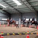 의귀초등학교 이미지