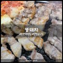 돌판똥돼지