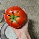 지에스25 잠실현대점 이미지