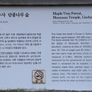 청량(문수)