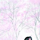 송화정