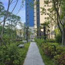 광양와우초등학교 이미지