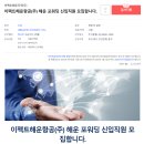 이펙트해운무역(주)